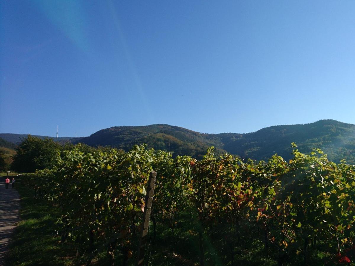 Fewo Vogesenblick Διαμέρισμα Lauf Εξωτερικό φωτογραφία